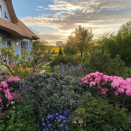 Reethaus Vilmnitz - Ferienwohnung Goor Bagian luar foto