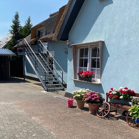 Reethaus Vilmnitz - Ferienwohnung Goor Bagian luar foto
