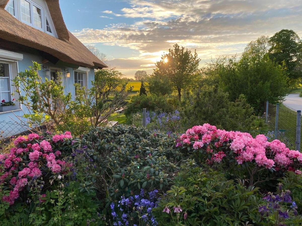Reethaus Vilmnitz - Ferienwohnung Goor Bagian luar foto