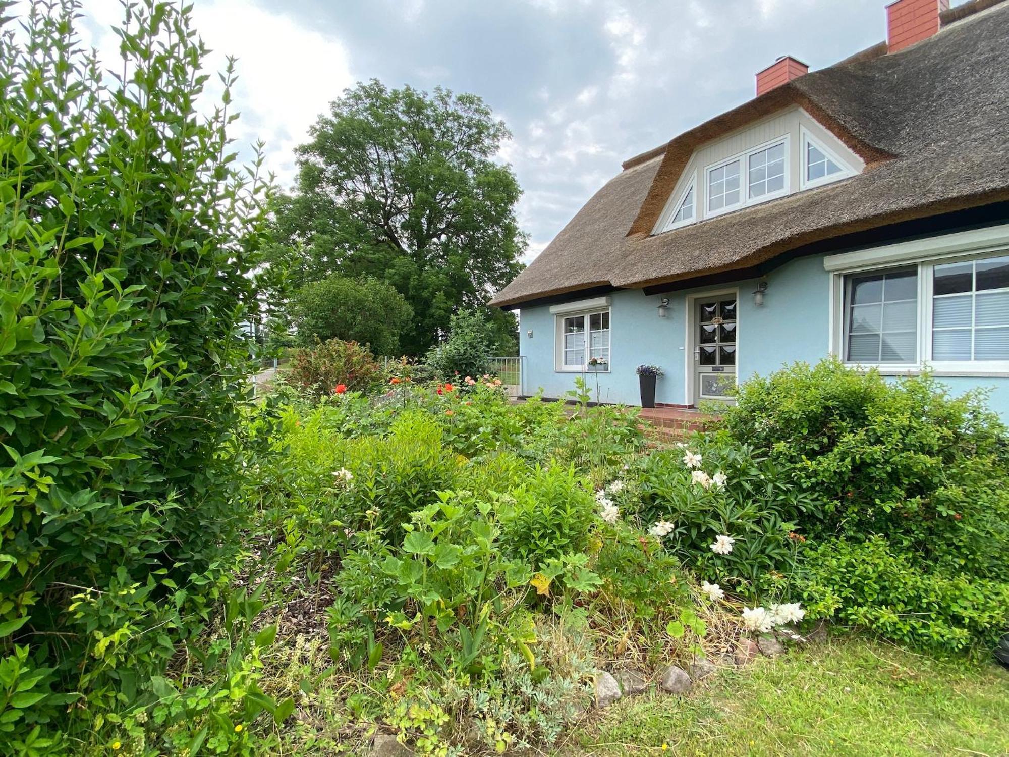 Reethaus Vilmnitz - Ferienwohnung Goor Bagian luar foto
