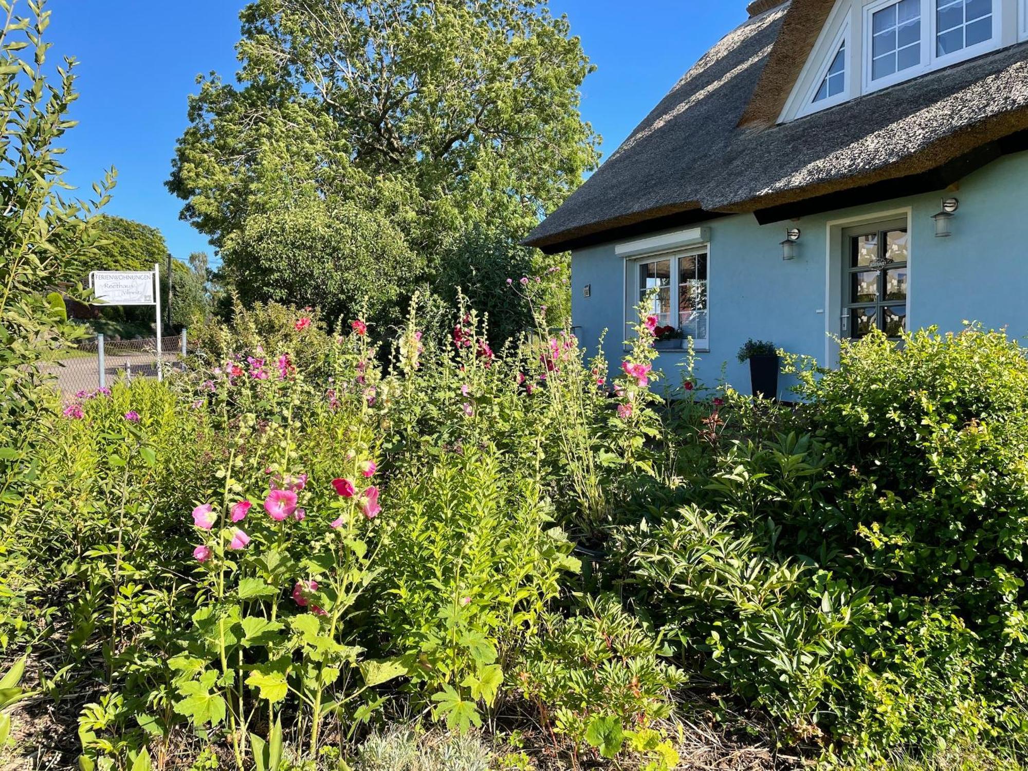 Reethaus Vilmnitz - Ferienwohnung Goor Bagian luar foto