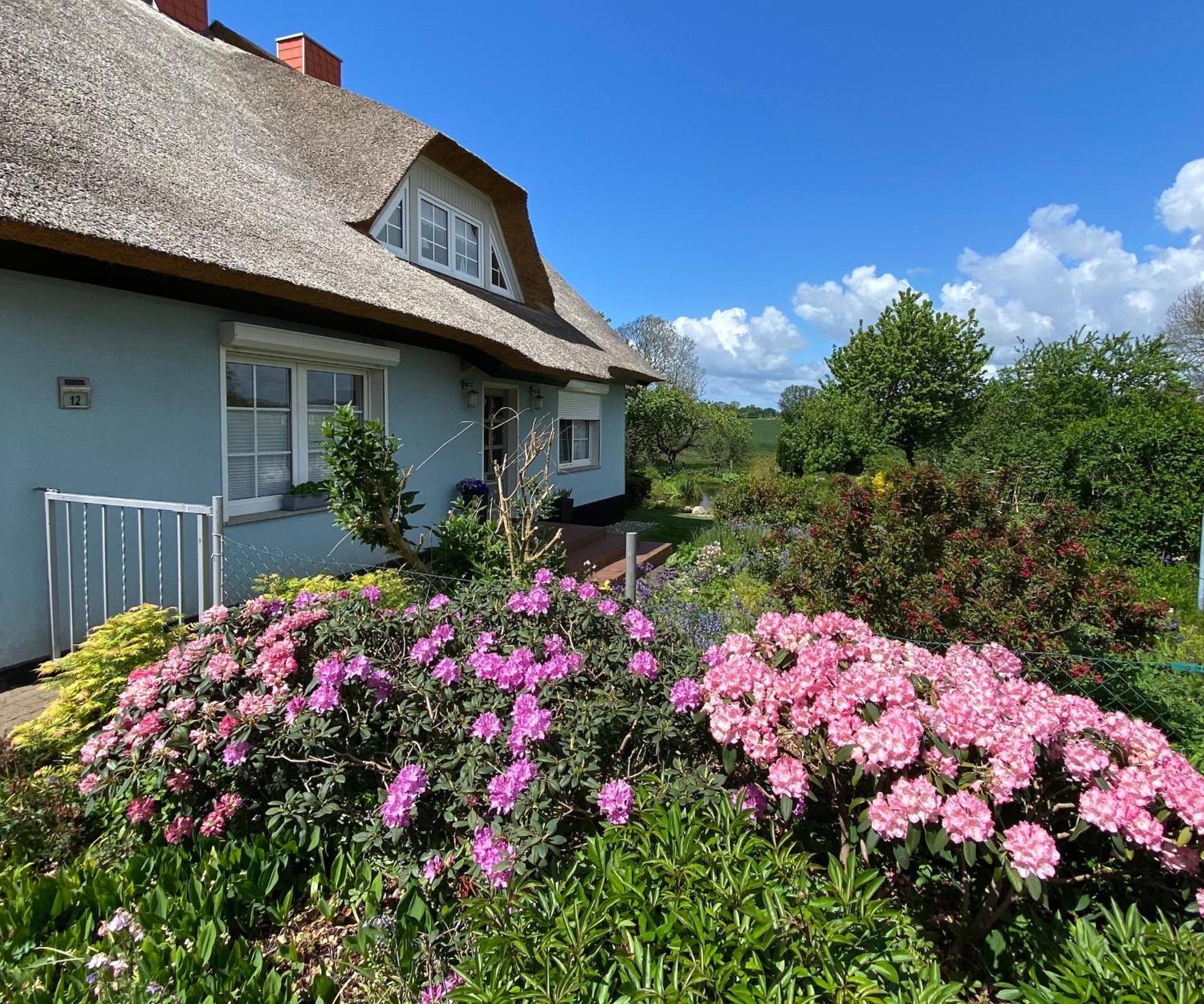 Reethaus Vilmnitz - Ferienwohnung Goor Bagian luar foto